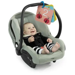 Baby Einstein Disovery Garden Tummy Time Mat & Mirror Best Sale