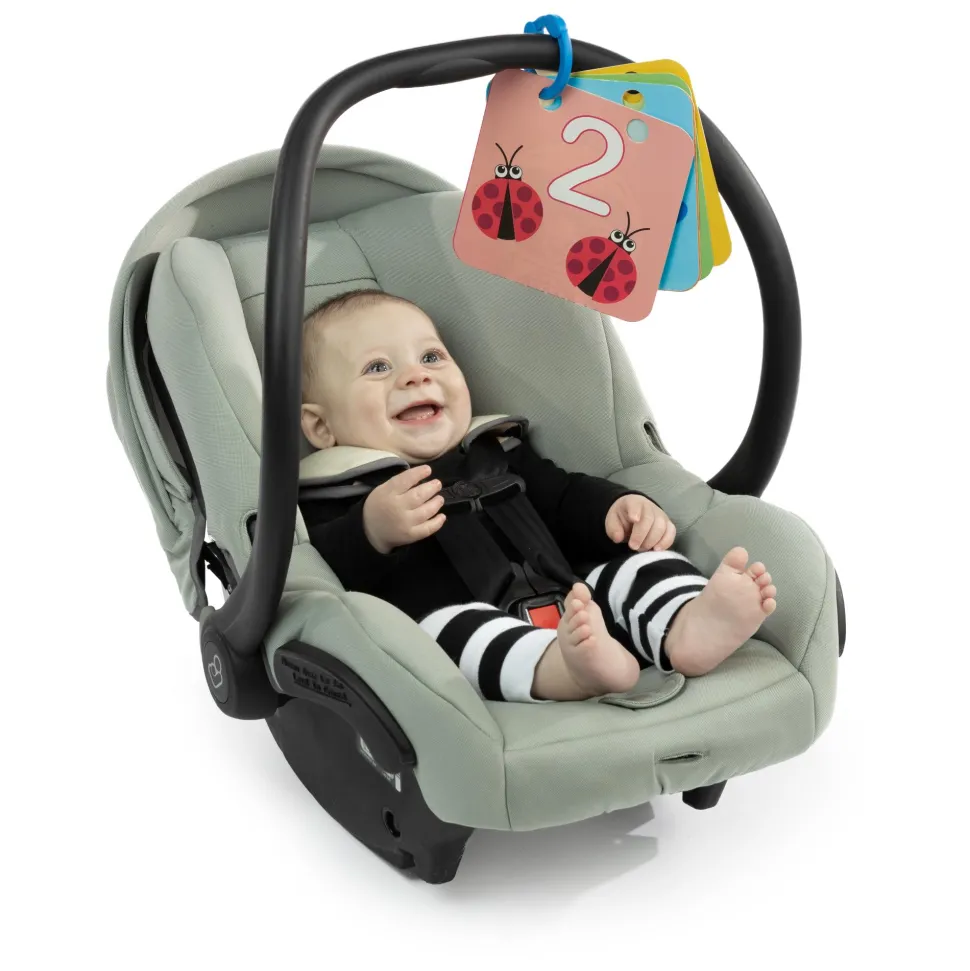 Baby Einstein Disovery Garden Tummy Time Mat & Mirror Best Sale