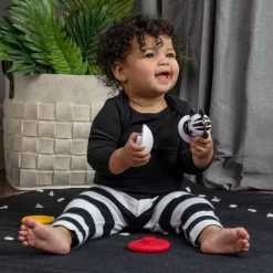 Baby Einstein Stack & Wobble Zen Teether Toy Flash Sale