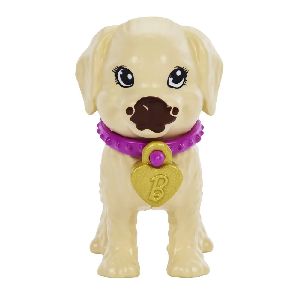 Barbie Pup Adoption Doll And Accessories Clearance