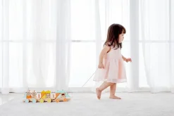 Classic World Pastel Colours Pull Train Online
