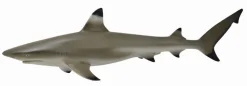 CollectA Blacktip Reef Shark (Red) Outlet