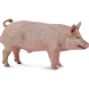 CollectA Boar (Red) Store