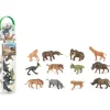 CollectA Box Of Mini Prehistoric Animals Shop