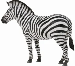 CollectA Common Zebra (Yellow) Cheap