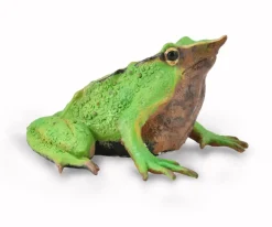 CollectA Darwin's Frog (Red) Clearance