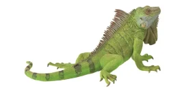CollectA Iguana (Grey) Discount