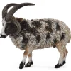 CollectA Jacob Sheep Figure (Yellow) Flash Sale