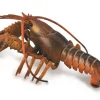CollectA Lobster New