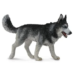 CollectA Siberian Husky (Yellow) Cheap