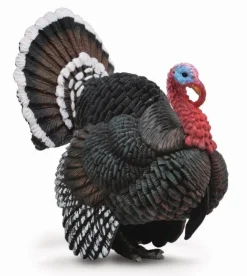 CollectA Turkey (Yellow) Best Sale