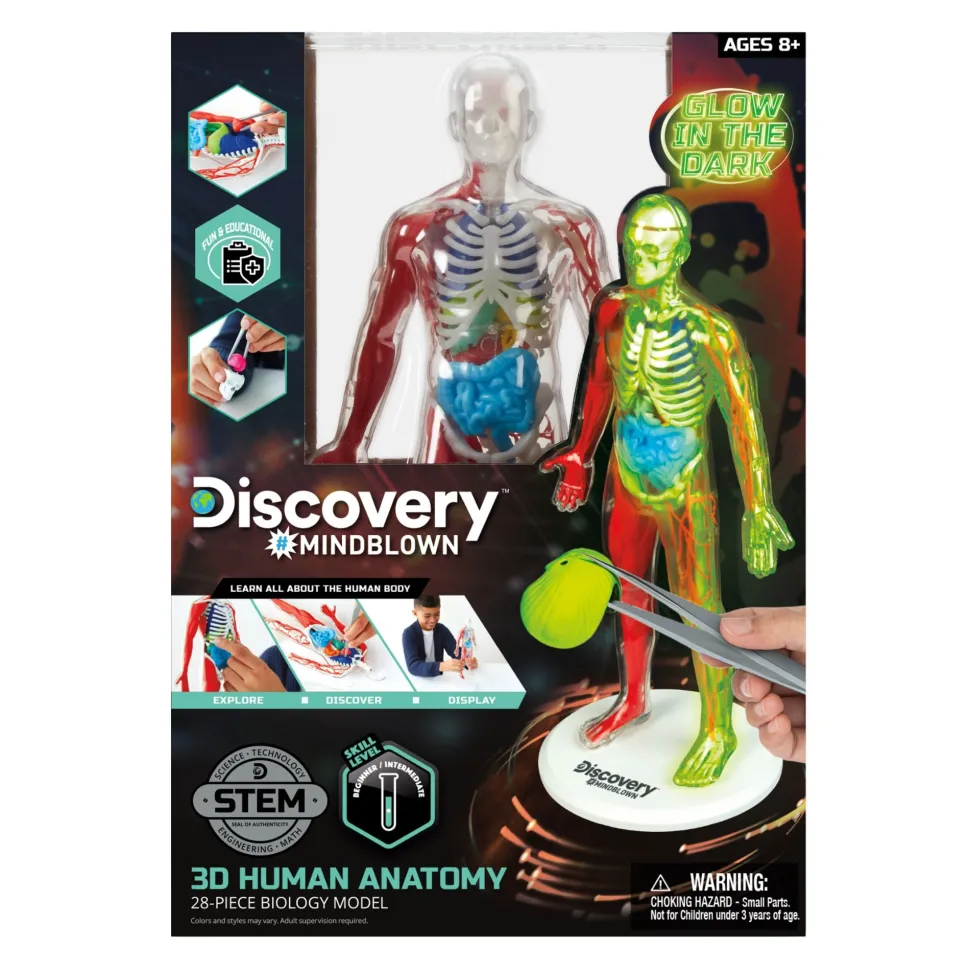 Discovery Mindblown 3D Human AnaTOMY Kit Hot
