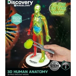 Discovery Mindblown 3D Human AnaTOMY Kit Hot
