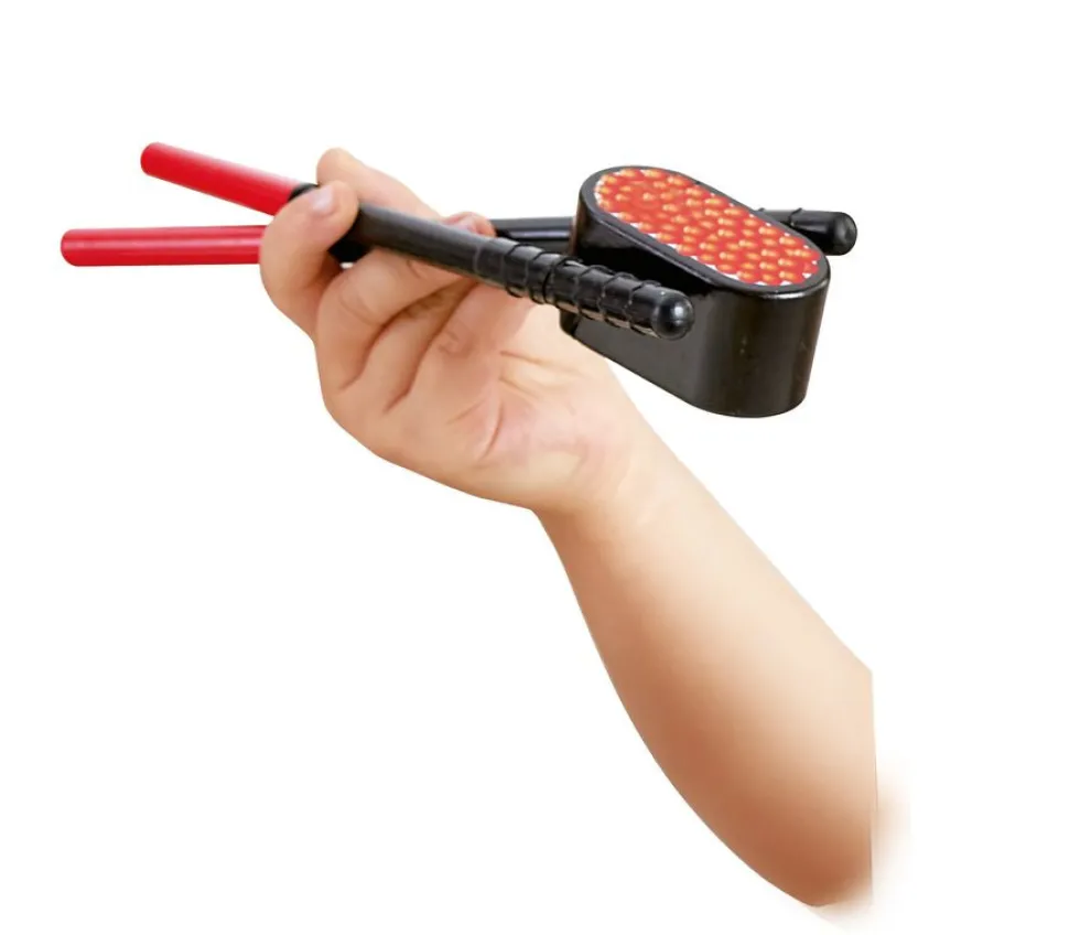 Hape Sushi Time Cheap
