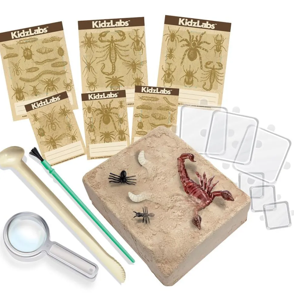 4M Kidz Labs Creepy Crawly Digging Kit Cheap
