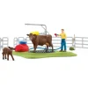 Schleich Farm World Happy Cow Wash Set Store