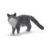 Schleich Maine Coon Cat Online
