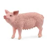 Schleich Pig Cheap