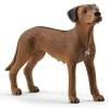 Schleich Rhodesian Ridgeback Sale