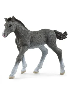 Schleich Trakehner Foal Hot
