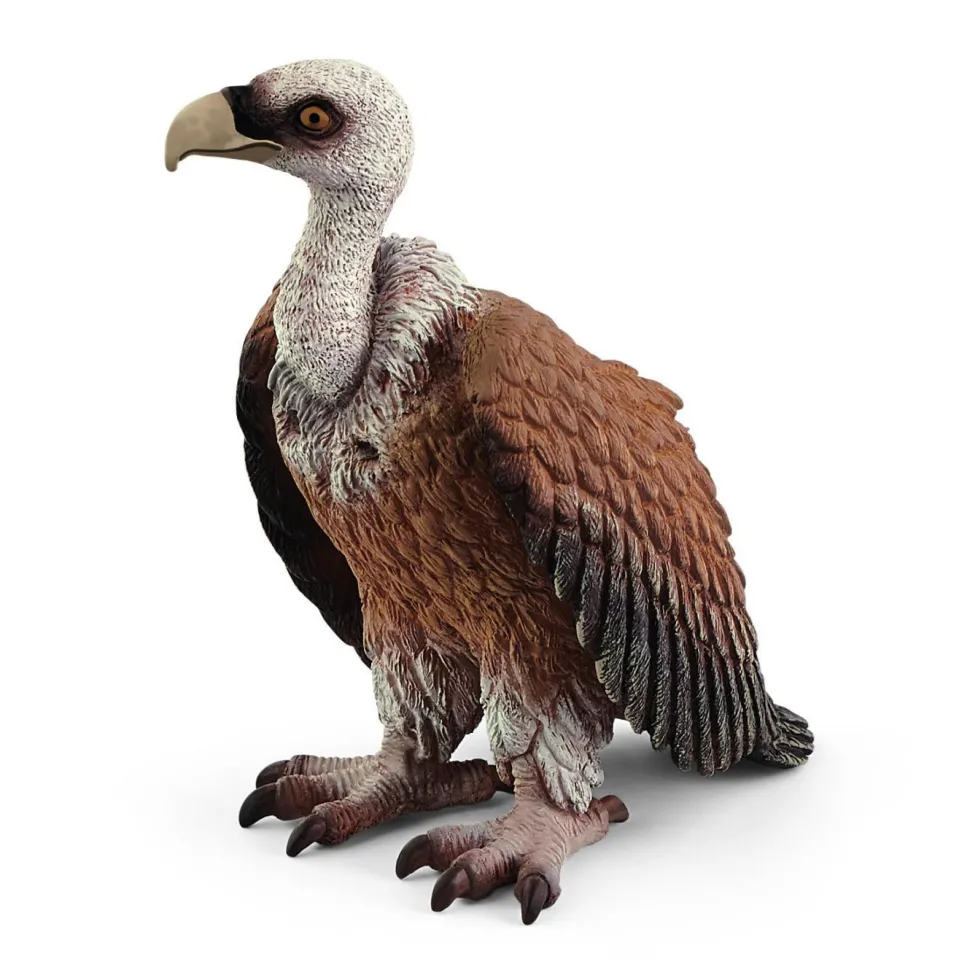 Schleich Vulture Cheap