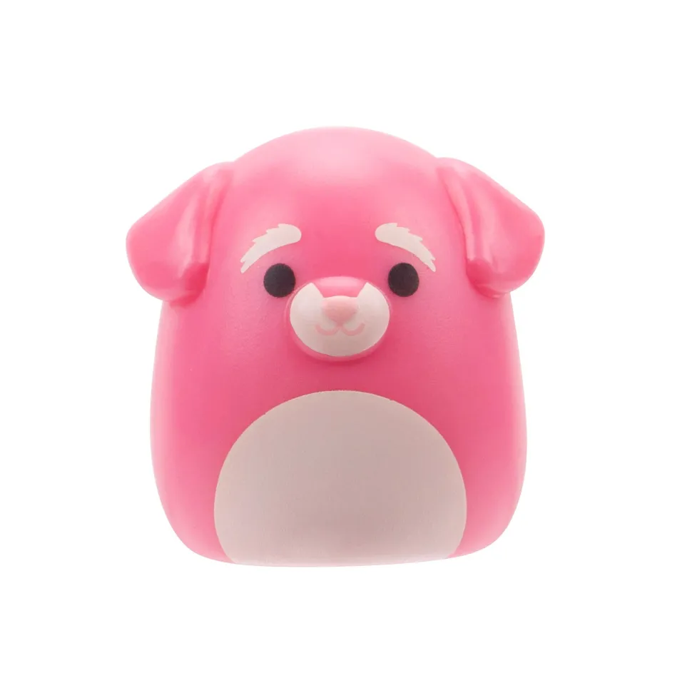 Squishmallows Squishalongs 2 Pack Blind Assortment Hot