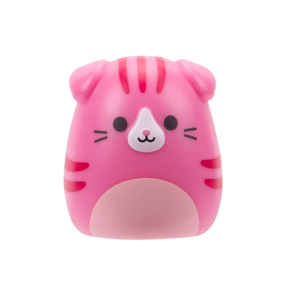 Squishmallows Squishalongs 2 Pack Blind Assortment Hot