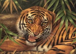 Toyworld NZ THE TYGER 1000 PIECE JIGSAW PUZZLE Shop