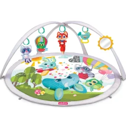 Winfun Babyspace Activity Gym Cheap