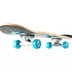 Toyworld NZ Xootz Skateboard Snake Skull Outlet